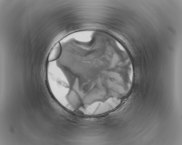 X0000110991467200907311000