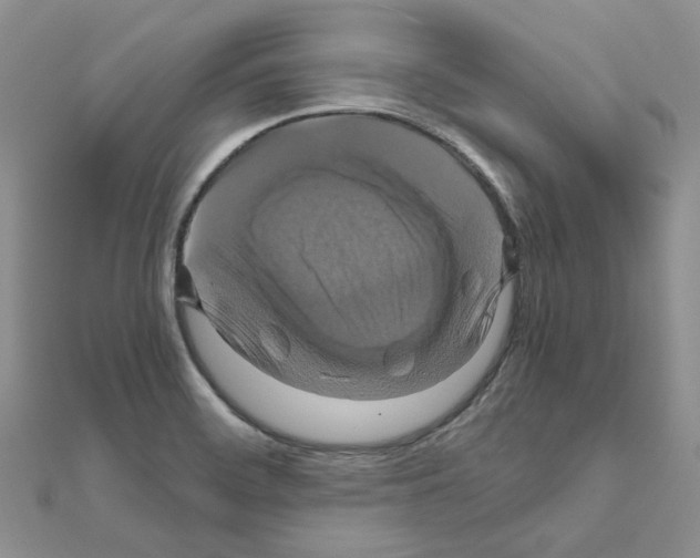 X0000110991468200907311000