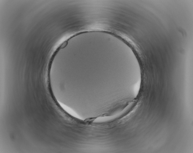 X0000110991469200907311000