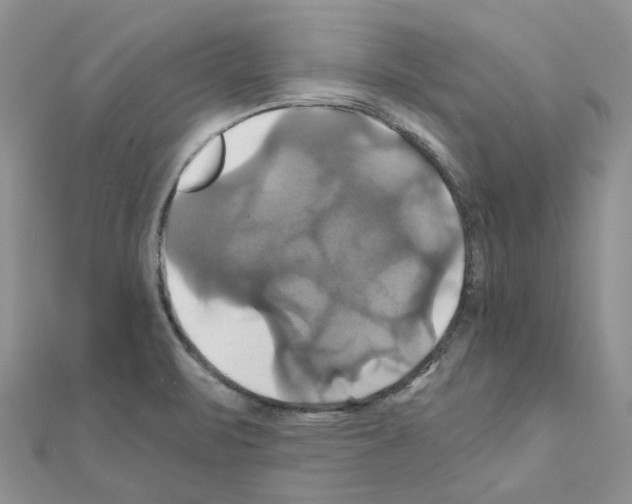 X0000110991471200907311000