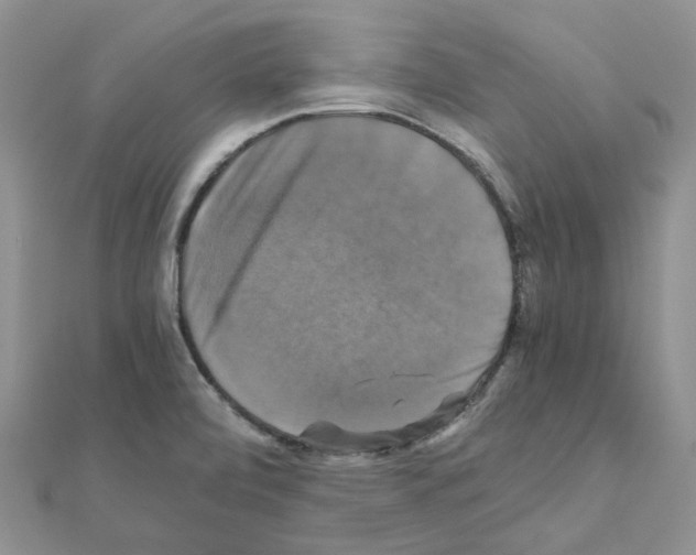 X0000110991472200907311000