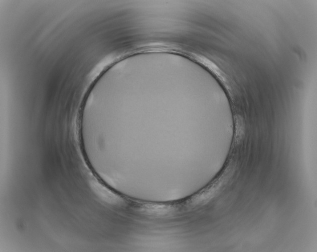 X0000110991474200907310959