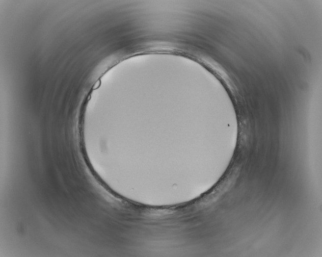 X0000110991475200907310959