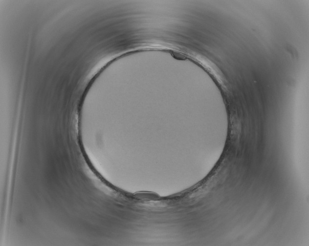 X0000110991476200907310959