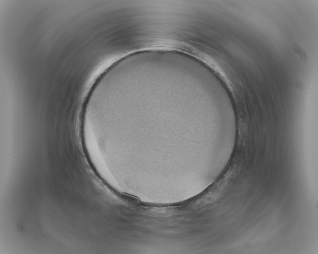 X0000110991480200907310959