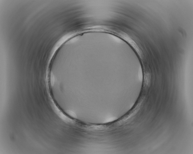 X0000110991482200907310959