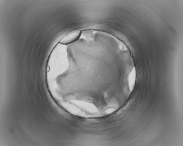X0000110991483200907310959