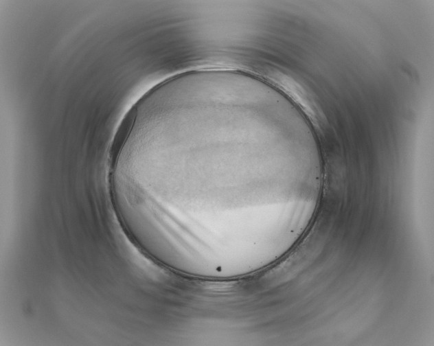 X0000110991484200907310959