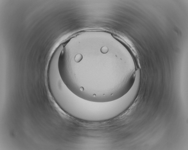 X0000110991485200907310959