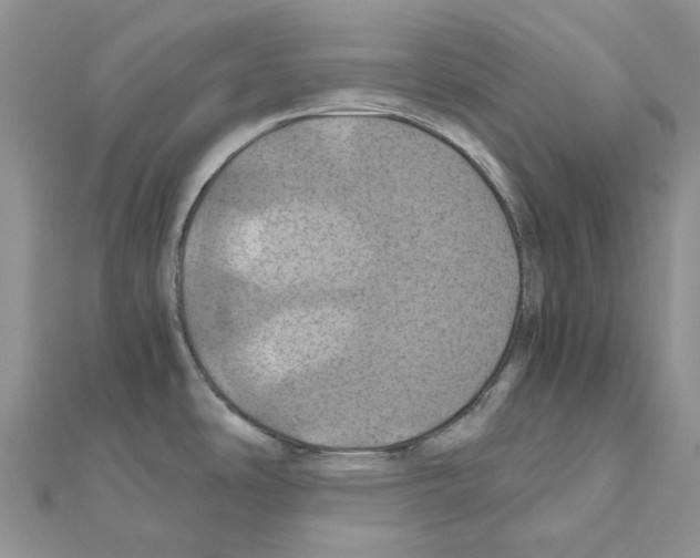 X0000110991486200907310959