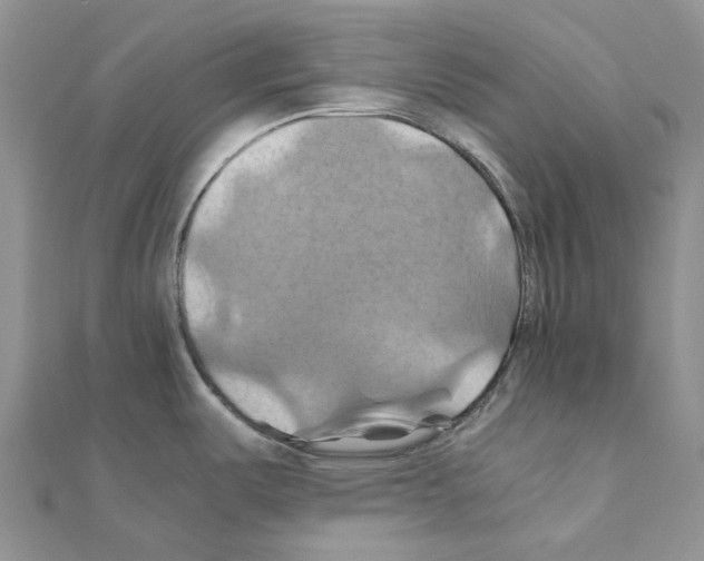 X0000110991487200907310959