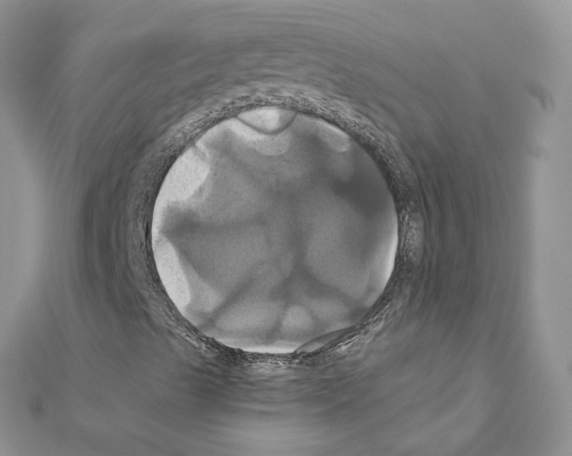 X0000110991489200907310959