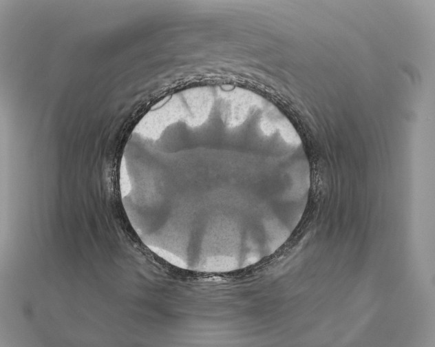 X0000110991490200907310959