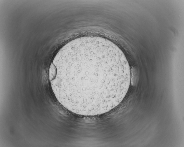 X0000110991491200907310959