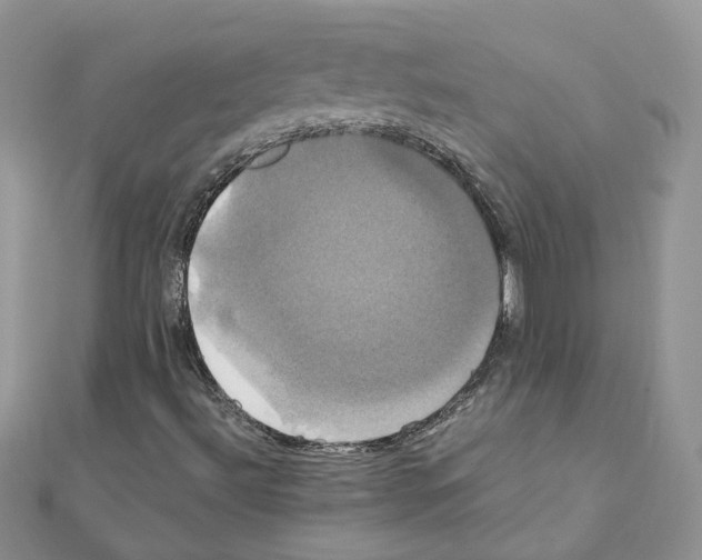 X0000110991492200907310959
