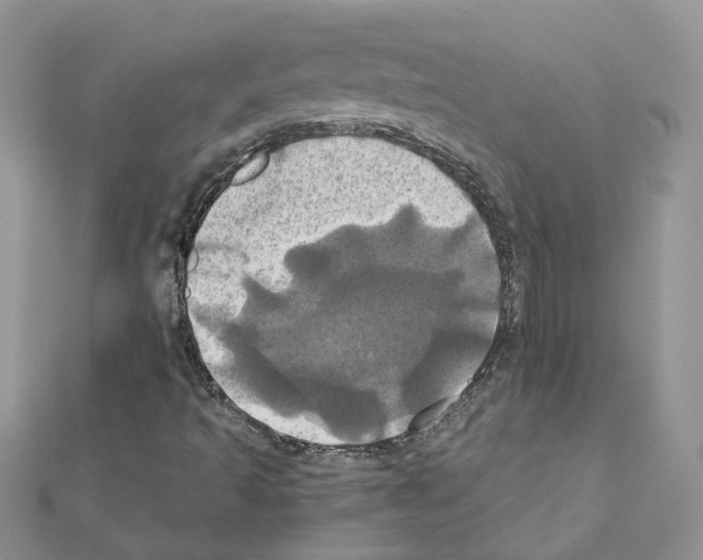 X0000110991493200907310959