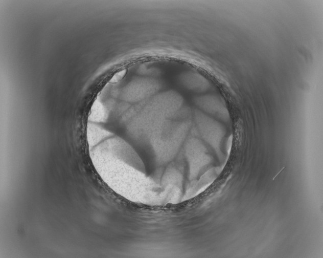 X0000110991494200907310959