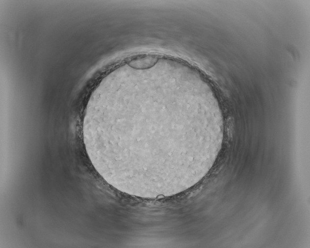 X0000110991495200907310959