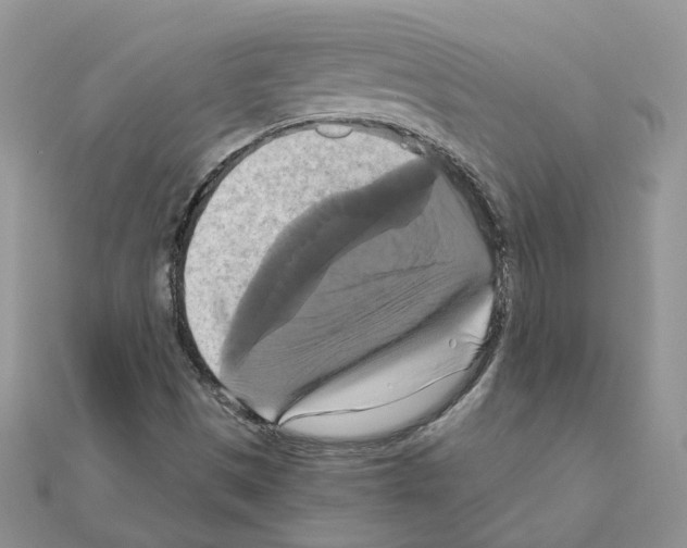 X0000110991497200907310959