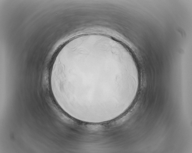 X0000110991498200907310959