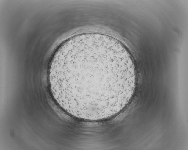 X0000110991499200907310959