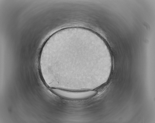 X0000110991500200907310959
