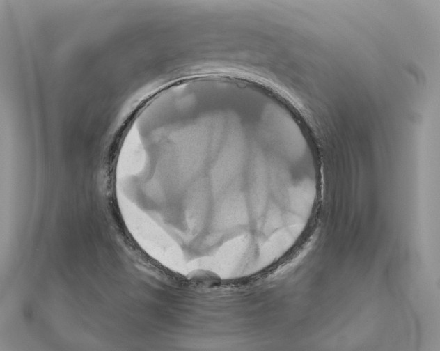 X0000110991501200907310959