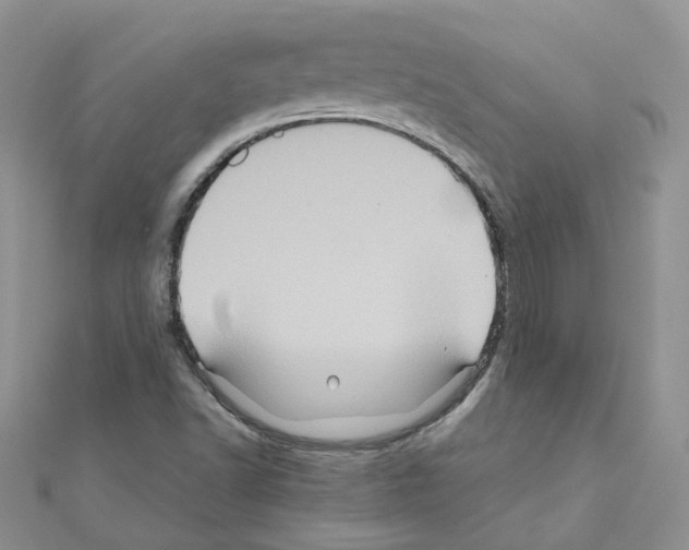 X0000110991502200907310959