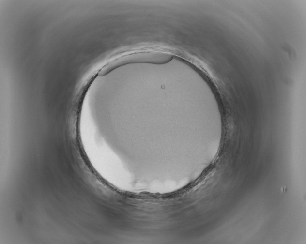 X0000110991504200907310959