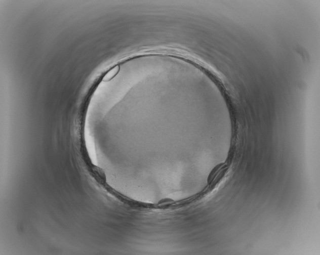 X0000110991506200907310959