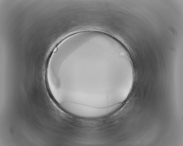 X0000110991508200907310959