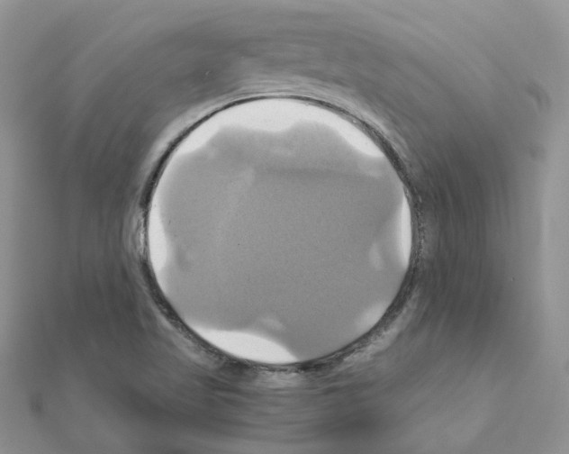 X0000110991509200907310959