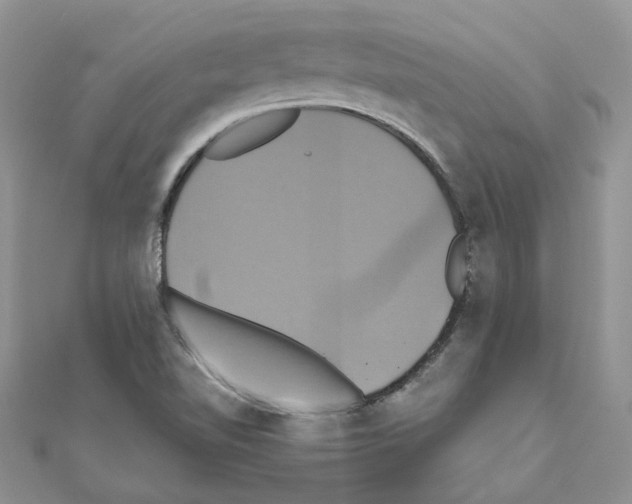 X0000110991510200907310959