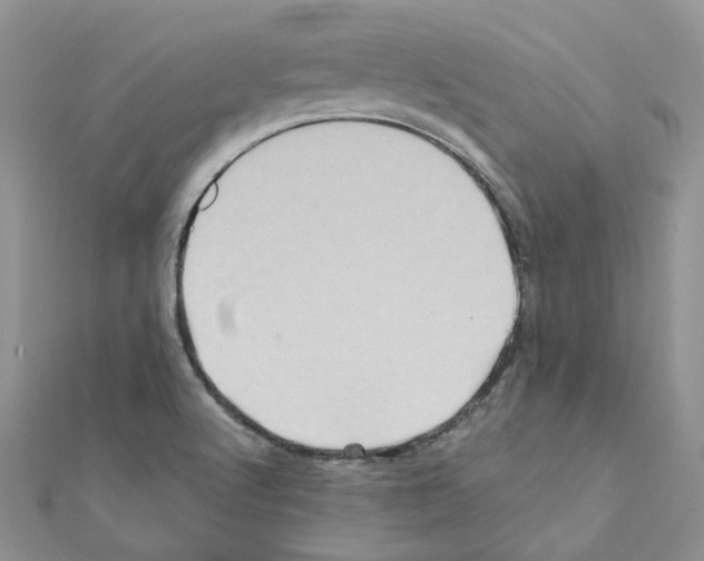 X0000110991512200907310959