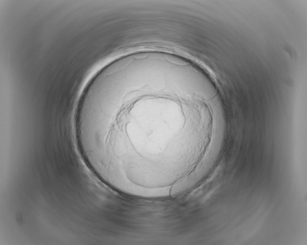 X0000110991514200907310959