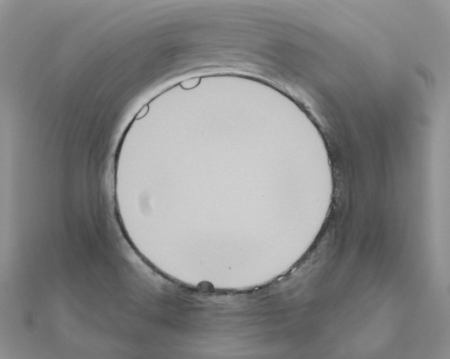 X0000110991516200907310959