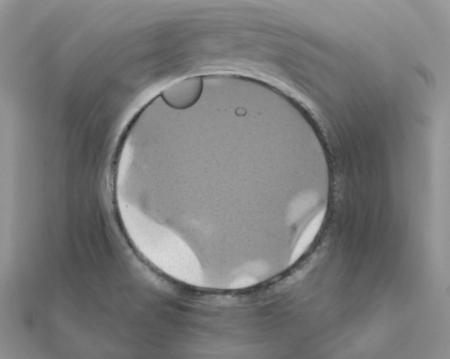 X0000110991517200907310959
