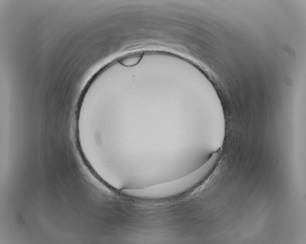 X0000110991518200907310959