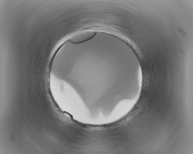 X0000110991522200907310959