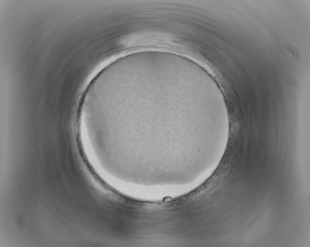 X0000110991523200907310959