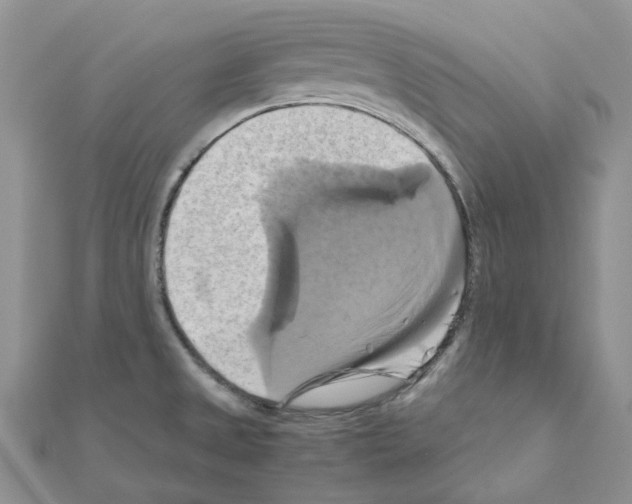 X0000110991525200907310959