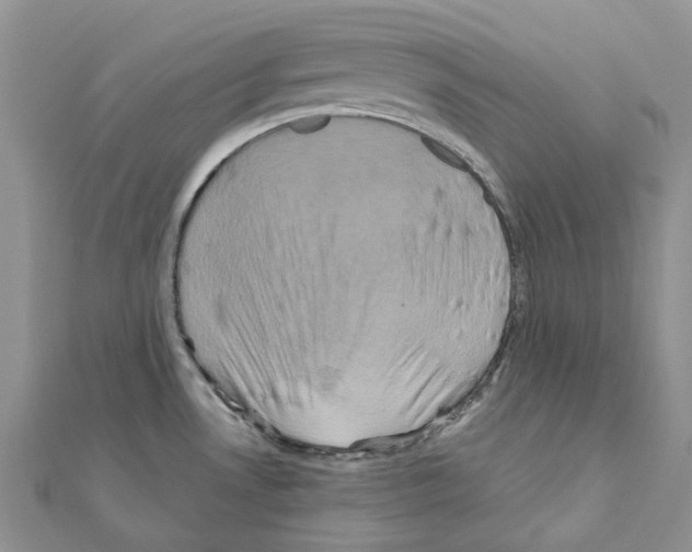 X0000110991530200907310959