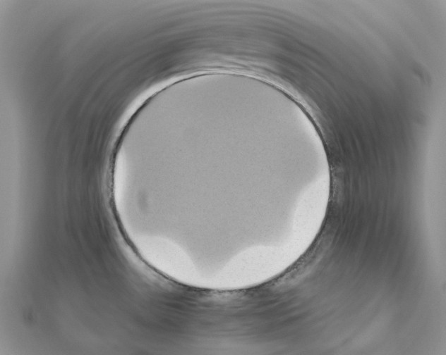 X0000110991531200907310959