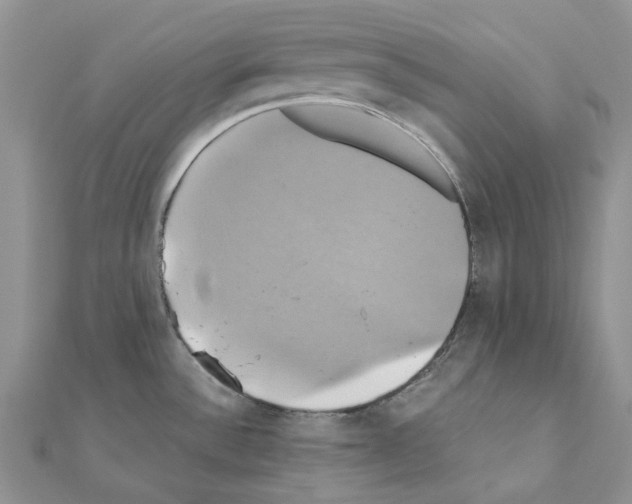 X0000110991532200907310959
