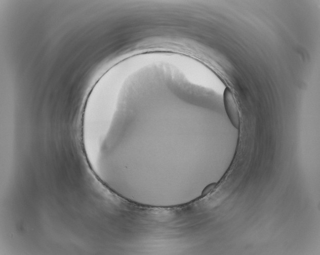 X0000110991536200907310959