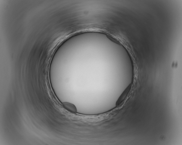 X0000111000001200906191155