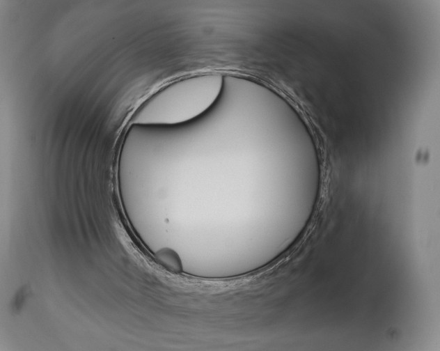 X0000111000002200906191155