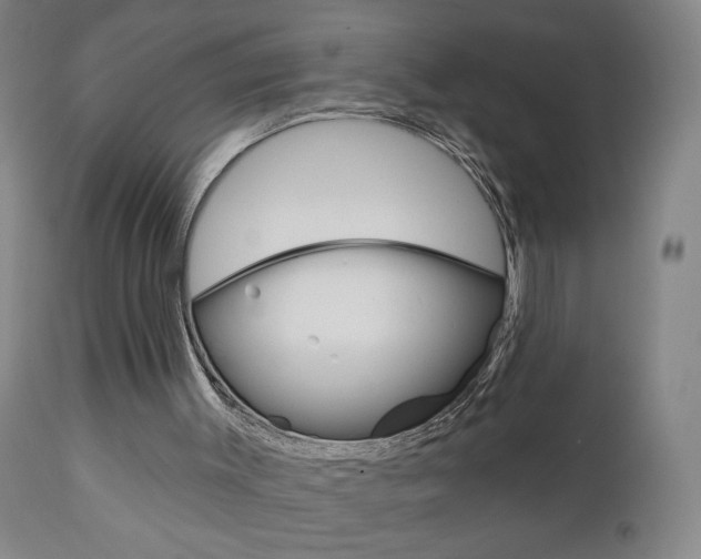 X0000111000003200906191155