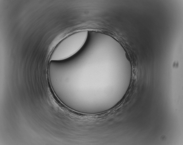 X0000111000004200906191155