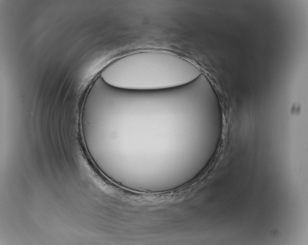 X0000111000005200906191155